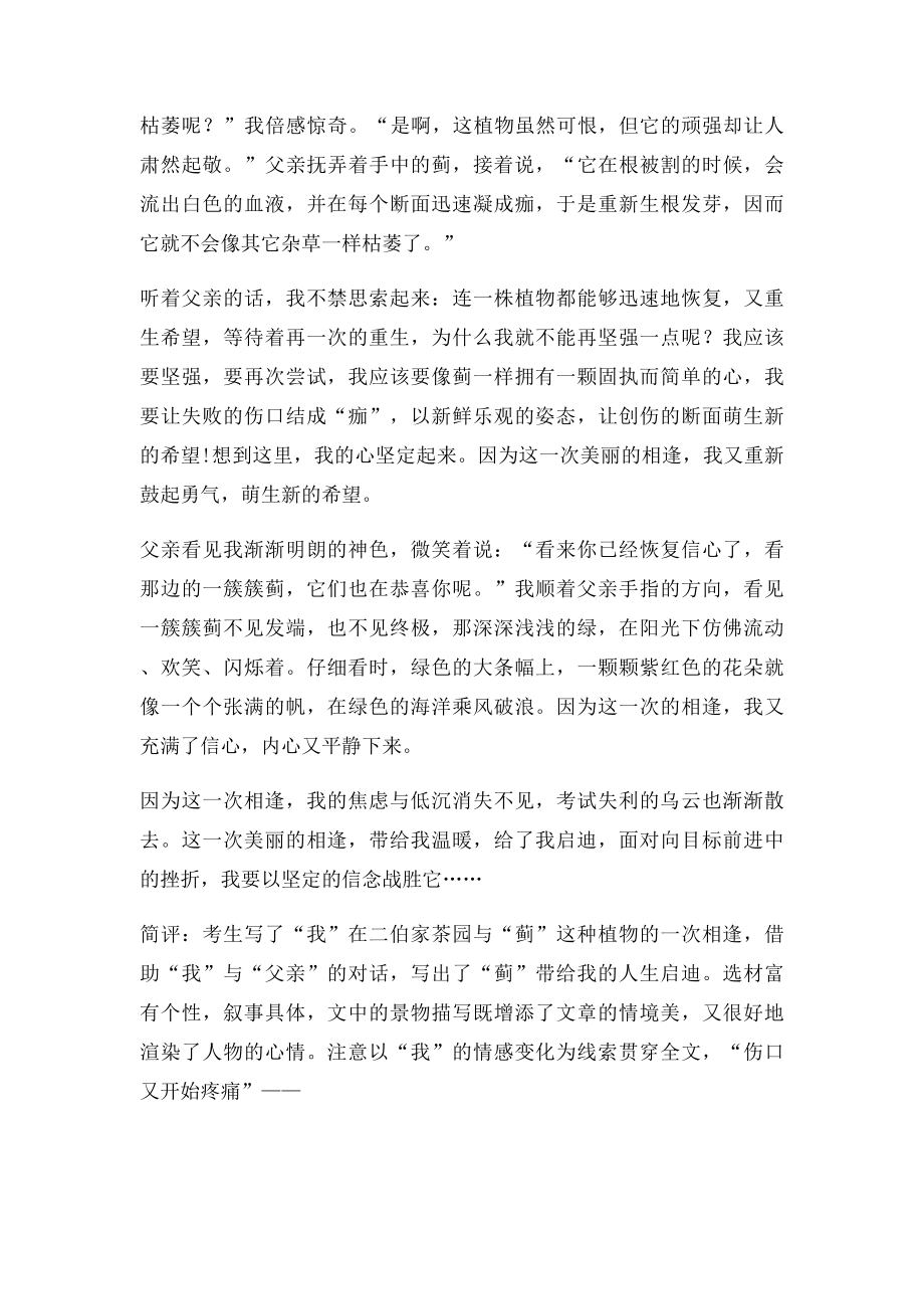 温暖相逢范文.docx_第3页