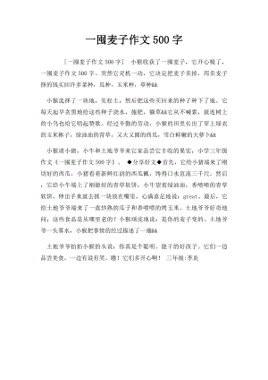 一囤麦子作文500字.docx