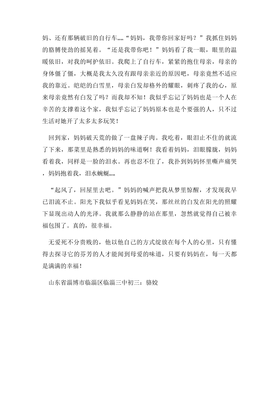 我读懂了妈妈的白发.docx_第2页