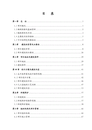 山东省某地区人工湿地水质净化工程项目可行性研究报告.doc