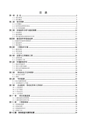 日处理600吨稻谷深加工项目可行性研究报告.doc