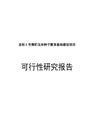 龙牧5号青贮玉米种子繁育基地建设项目可行性研究报告(送审).doc