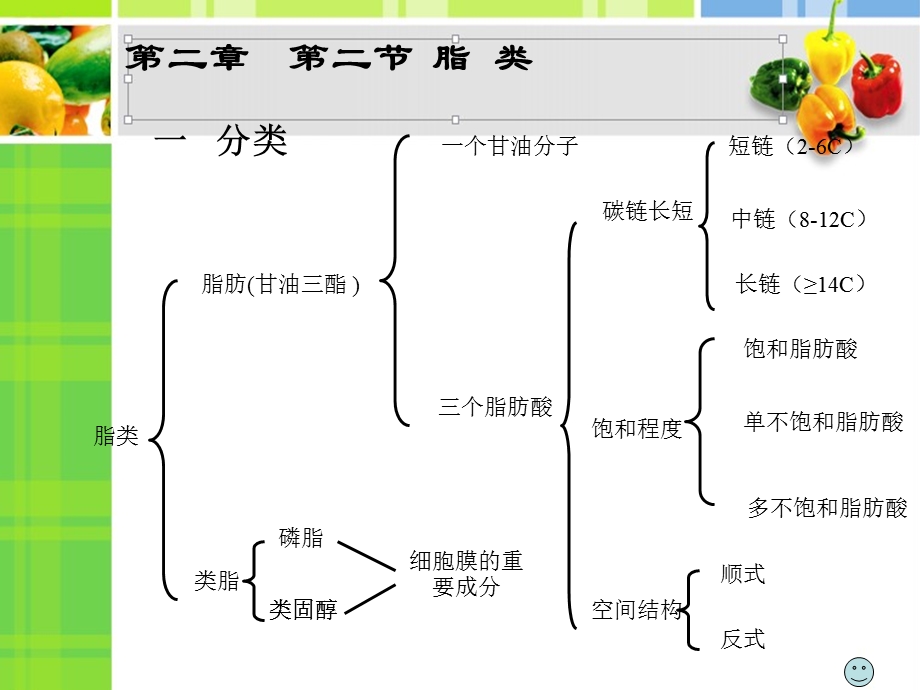 第二章第二节脂类第四节能量课件.ppt_第2页