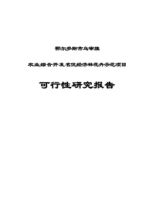 农业综合开发名优经济林花卉示范建设项目可行性研究报告.doc