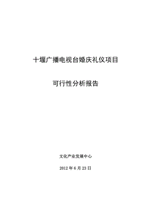 广播电视台婚庆礼仪项目可行性分析报告.doc