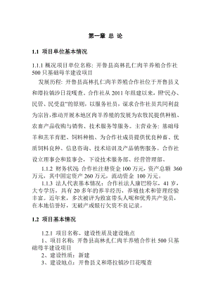 高林扎仁肉羊养殖合作社1000只基础母羊建设项目可行性研究报告.doc