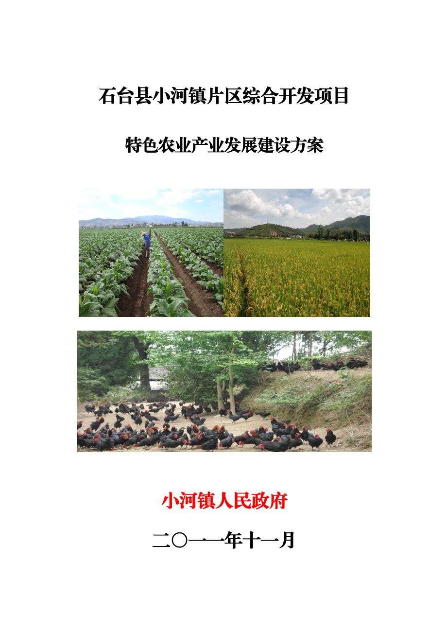 综合开发项目特色农业产业发展方案.doc_第1页