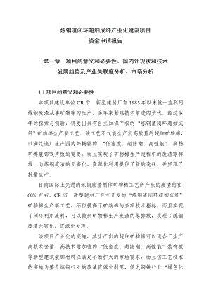 炼钢渣闭环超细成纤产业化建设项目资金申请报告.doc