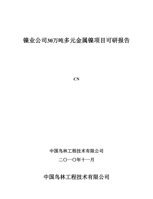 30万吨多元金属镍项目可行性研究报告.doc