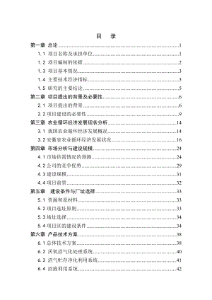 农业循环经济利用示范项目可行性研究报告.doc