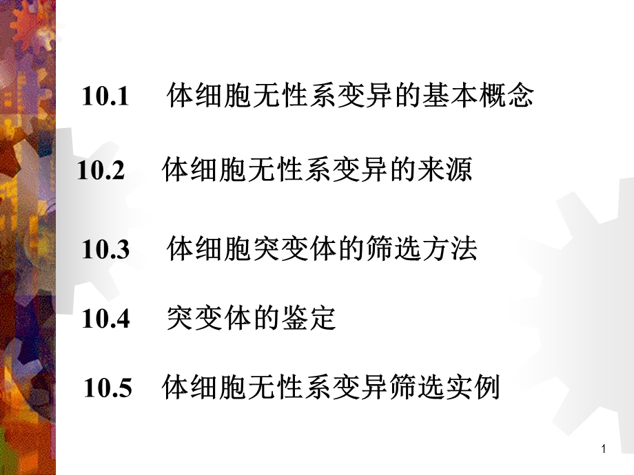 第10章植物生物学课件.ppt_第1页