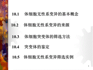 第10章植物生物学课件.ppt