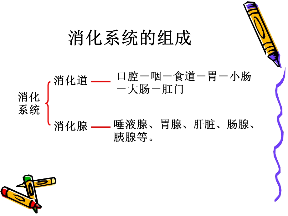 第二章第二节消化和吸收ppt课件.ppt_第3页