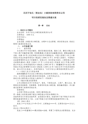 小额贷款有限责任公司可行性研究报告及筹建方案.doc