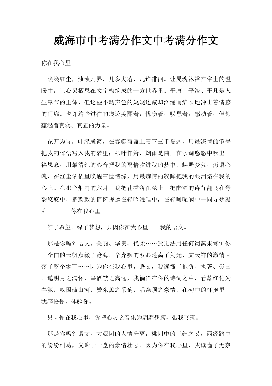 威海市中考满分作文中考满分作文.docx_第1页