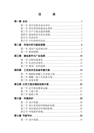 产10万吨硫铁矿制酸以及10万吨磷酸一铵项目可行性研究报告.doc