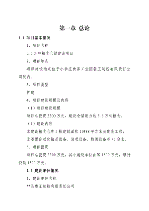 鲁王制粉有限责任公司5.6万吨粮食仓储建设项目可行性研究报告.doc