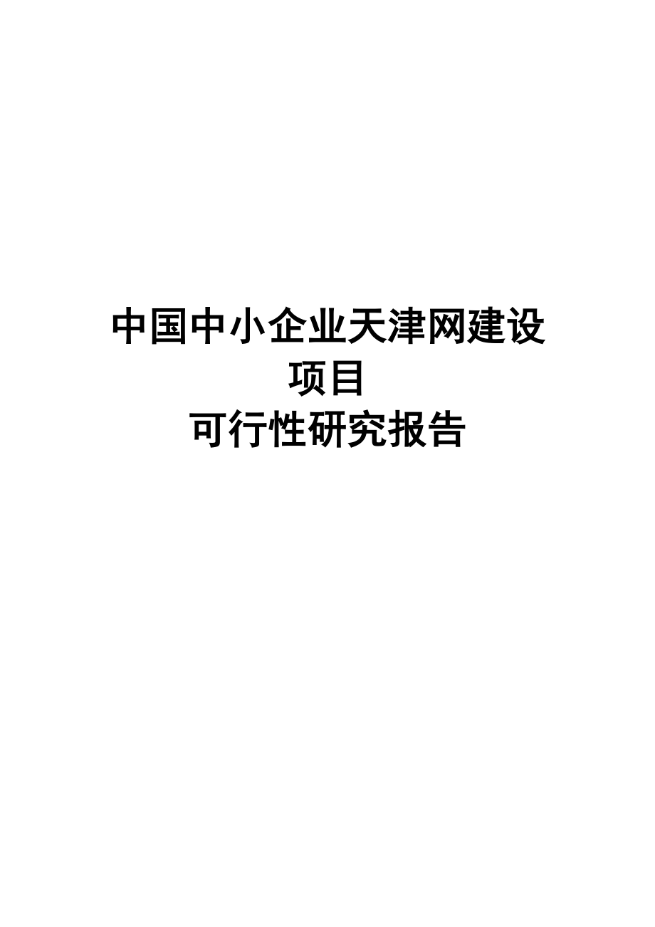 中国中小企业天津网建设项目可行性研究报告.doc_第1页