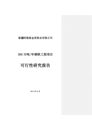 300万吨钢铁工程项目可行性研究报告.doc