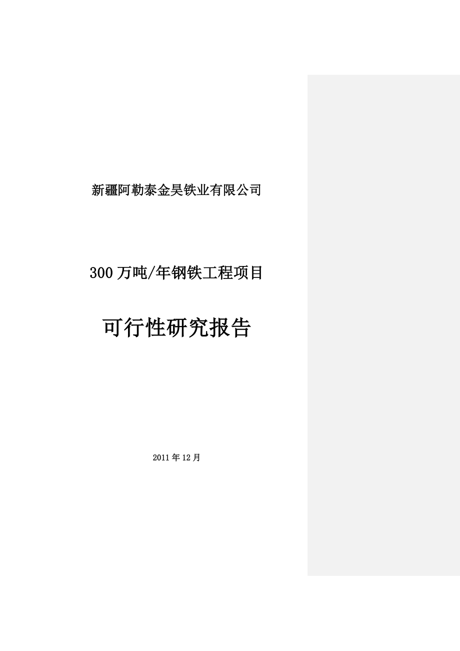 300万吨钢铁工程项目可行性研究报告.doc_第1页