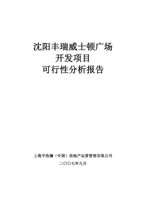 丰瑞威士顿广场开发项目可行性分析报告.doc