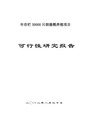 存栏30000只朗德鹅养殖项目可行性研究报告.doc