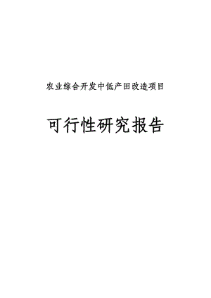 新疆农业综合开发中低产田改造项目可行性研究报告.doc