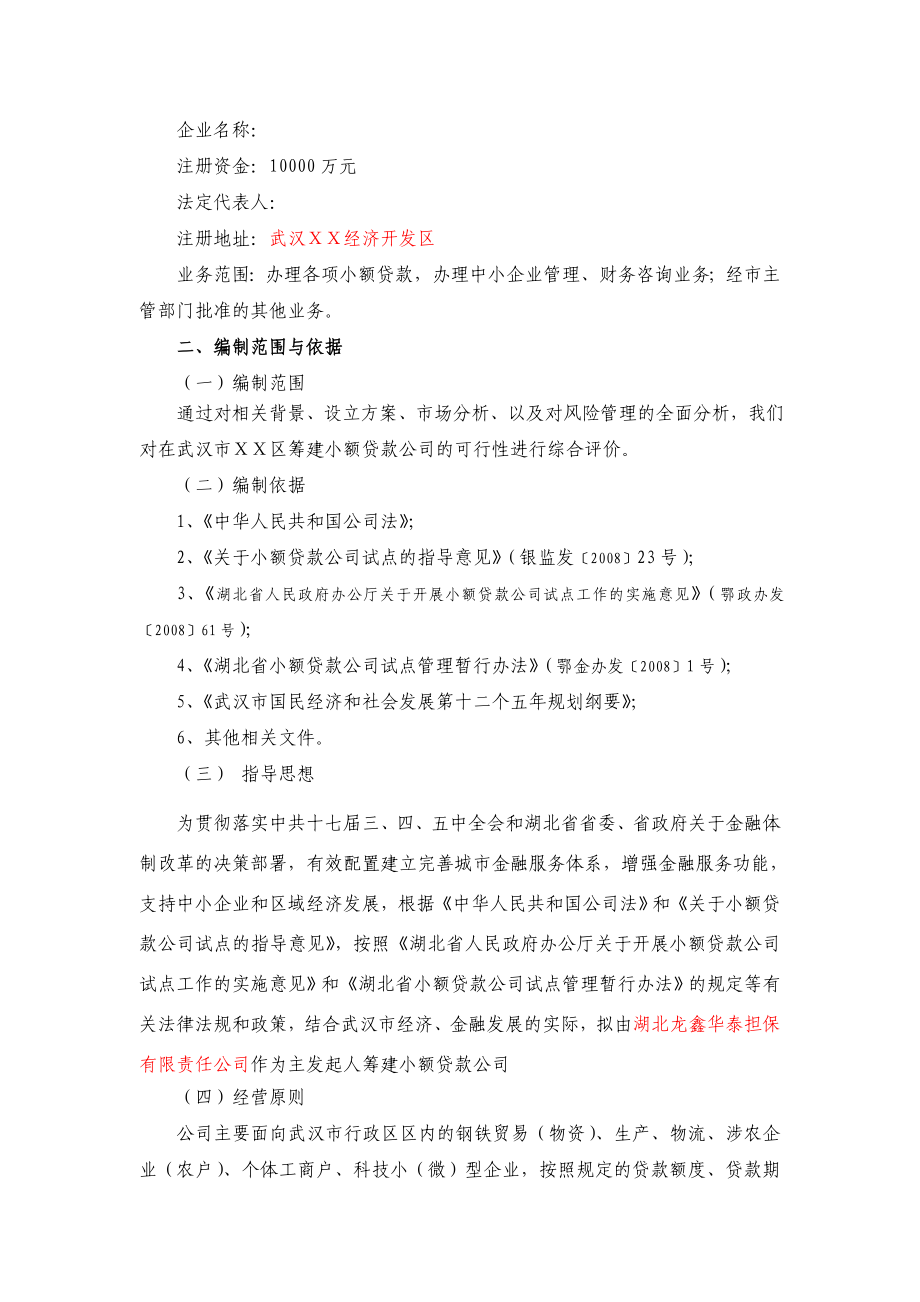 关于筹建小额贷款公司的可行性报告.doc_第2页