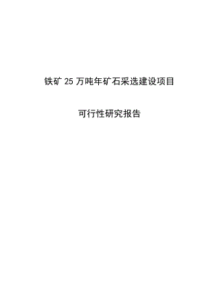 铁矿25万吨矿石采选建设项目可行性研究报告.doc