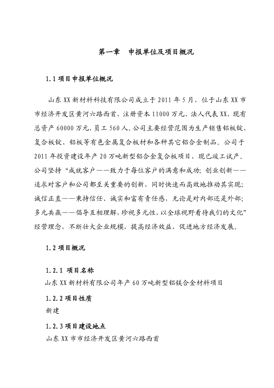 山东XX新材料有限公司产60万吨新型铝镁合金材料项目申请报告.doc_第1页