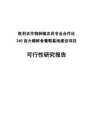 胜利农作物种植农民专业合作社240亩大棚鲜食葡萄基地建设项目可行性研究报告.doc