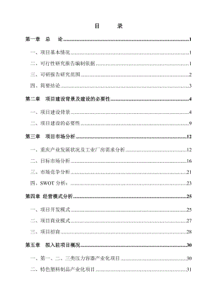 可研报告蔡家可行性研究报告0811.doc