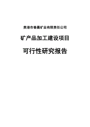 矿产品加工建设项目可行性研究报告.doc