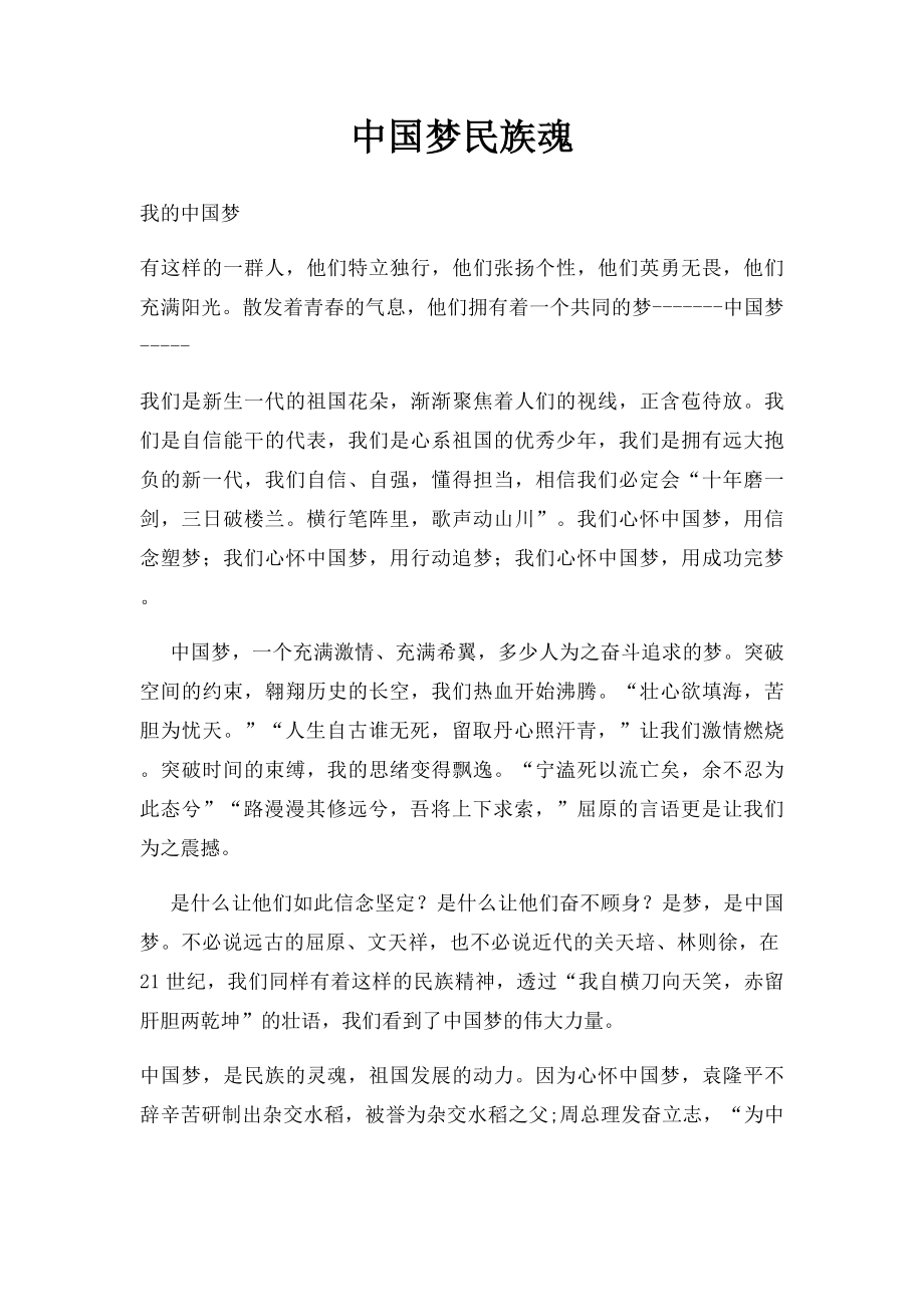 中国梦民族魂.docx_第1页