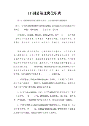 IT副总经理岗位职责.docx