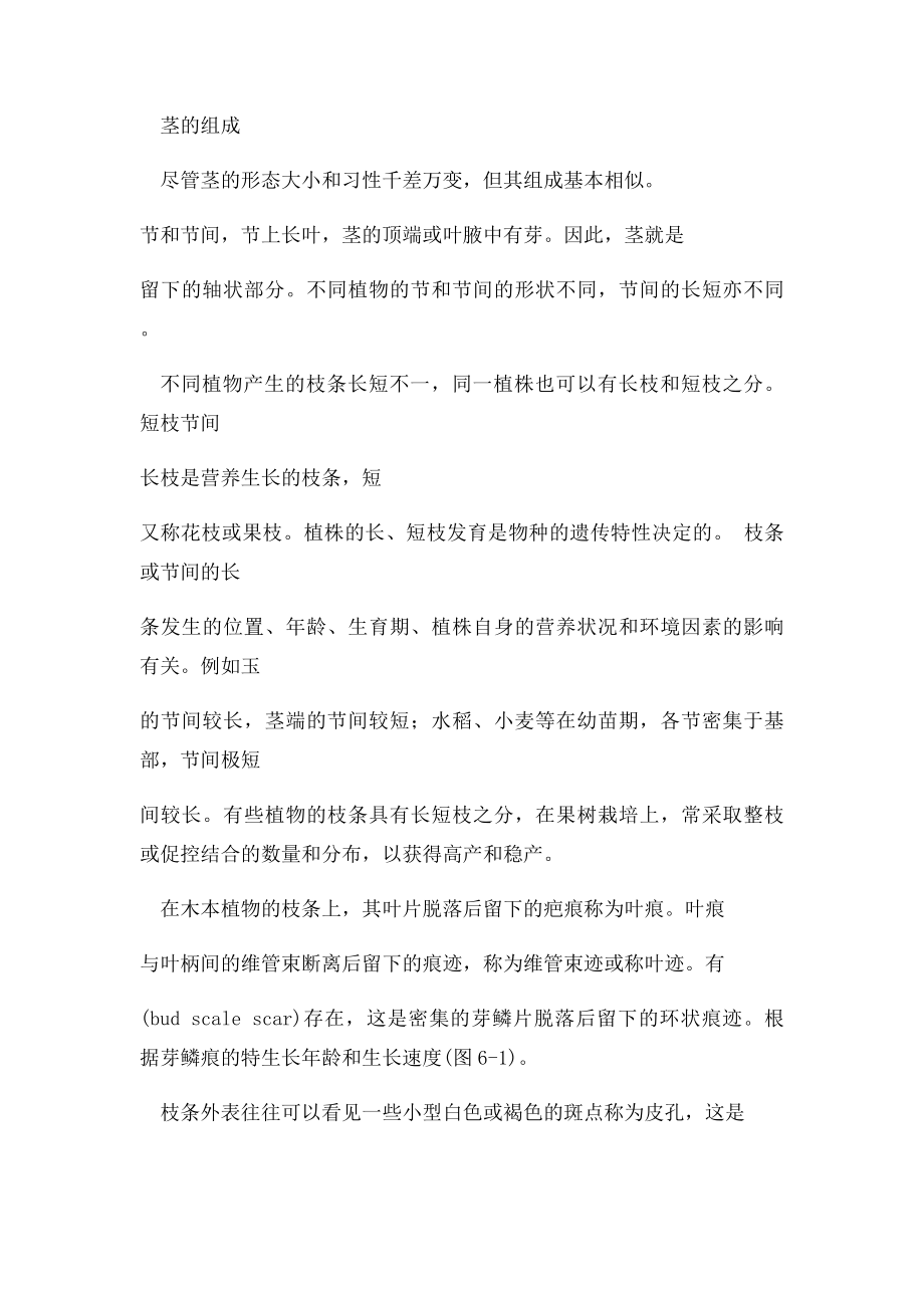 茎的形态特征.docx_第3页