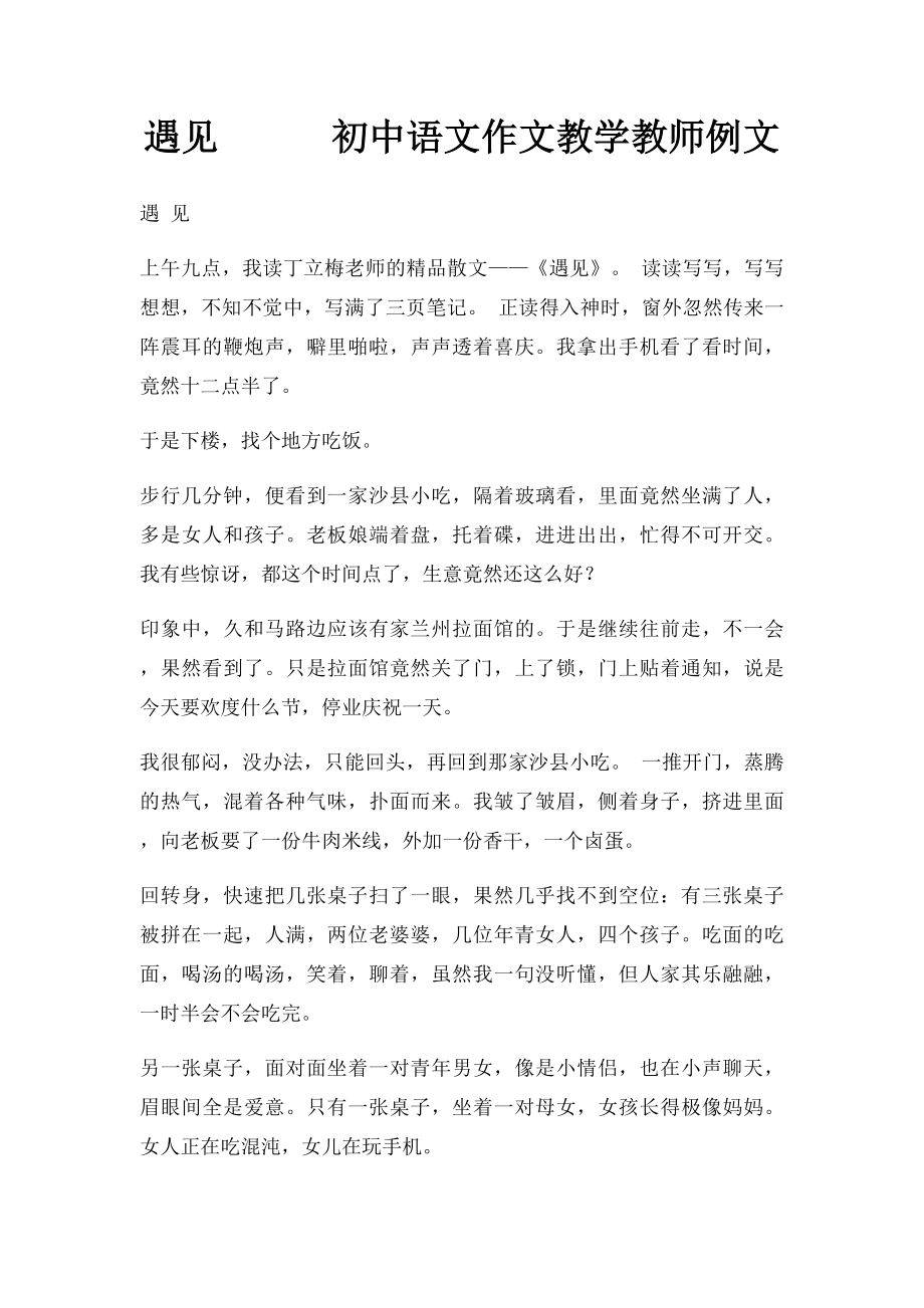 遇见初中语文作文教学教师例文.docx_第1页