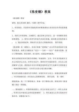 《拣麦穗》教案.docx