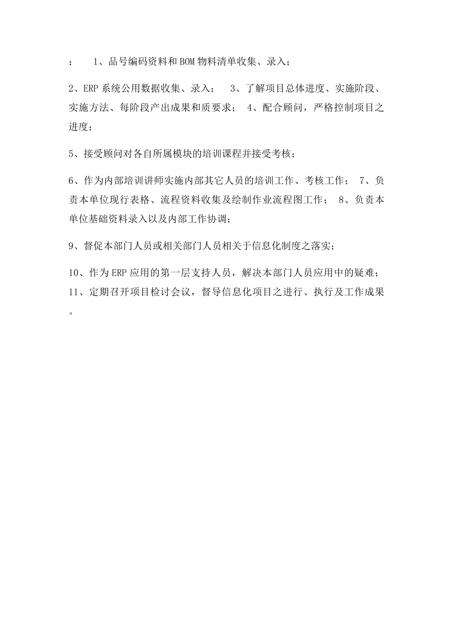 ERP项目小组组织架构.docx_第2页