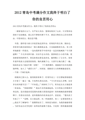 2012青岛中考满分作文我终于明白了你的良苦用心.docx