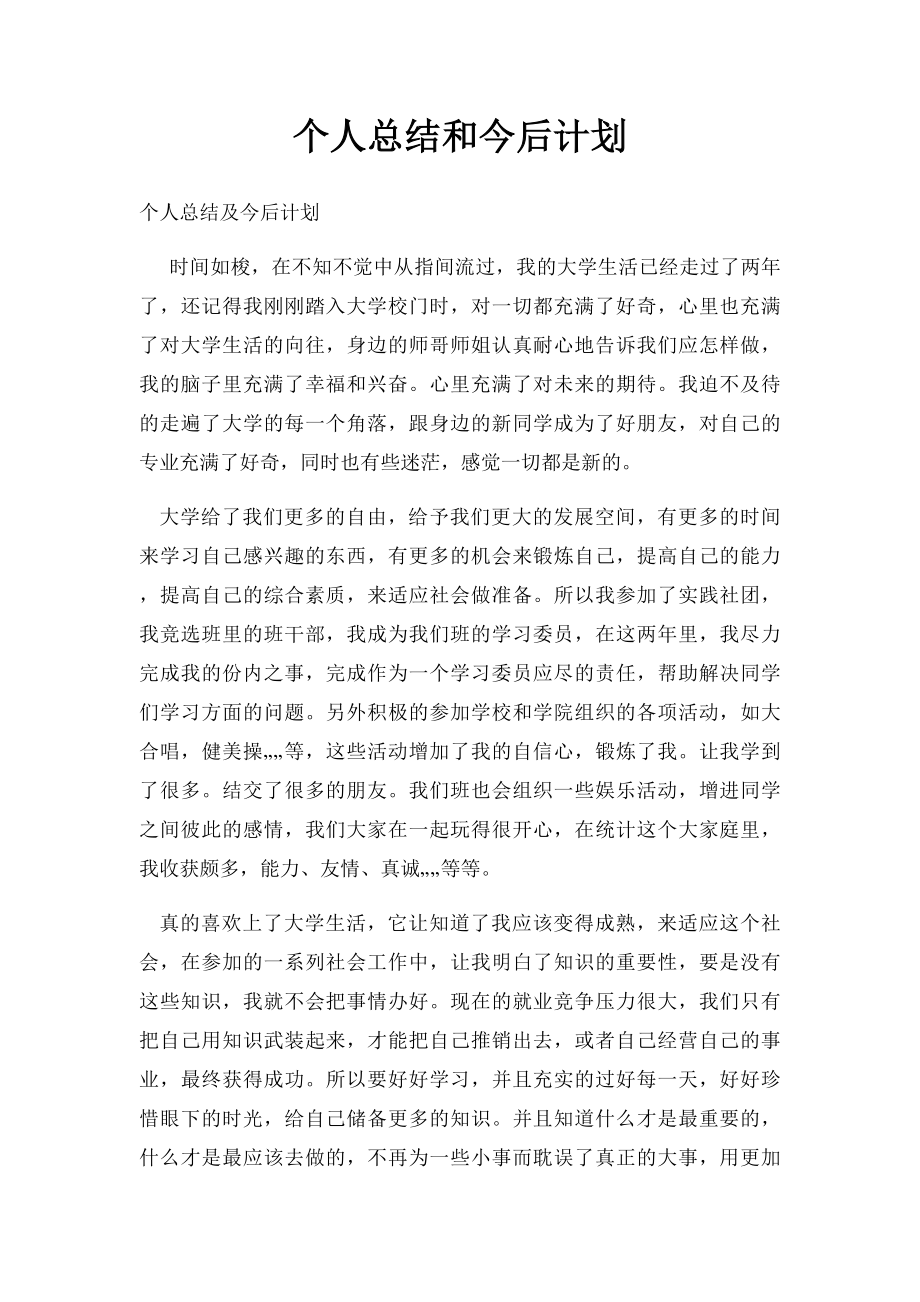 个人总结和今后计划.docx_第1页