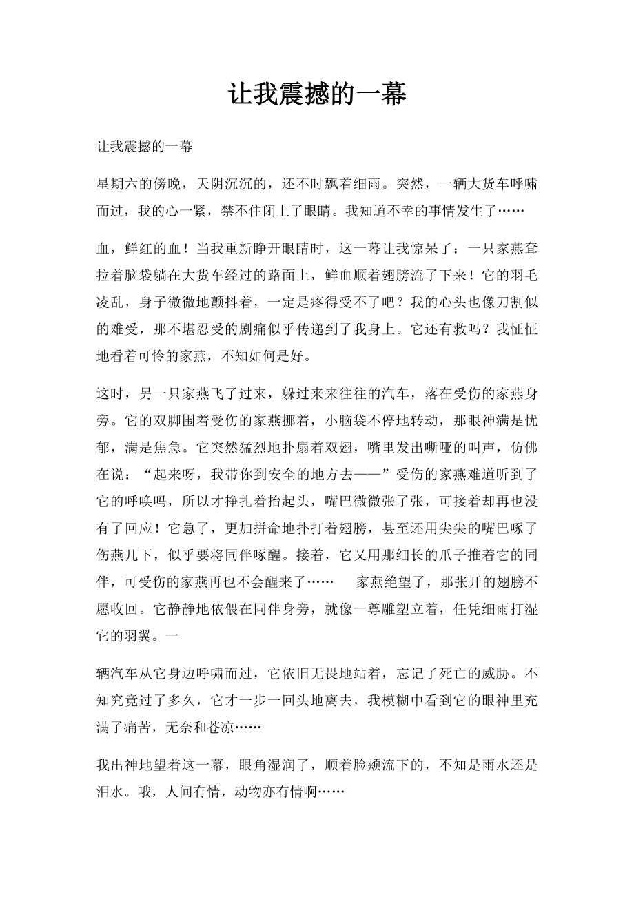 让我震撼的一幕.docx_第1页