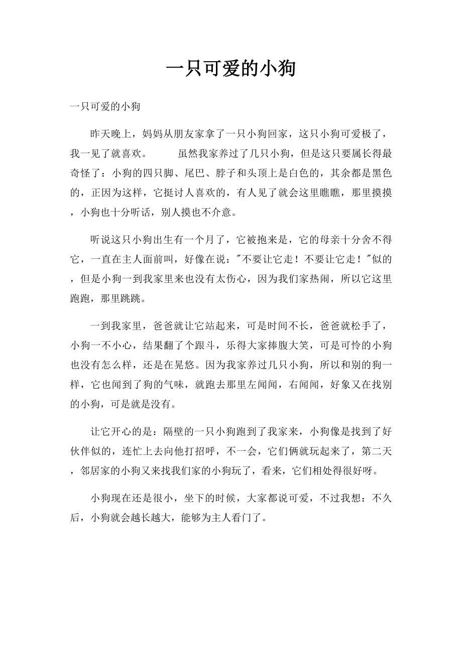 一只可爱的小狗.docx_第1页