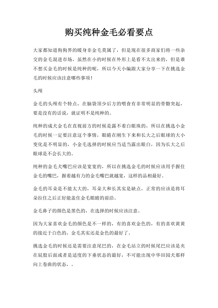 购买纯种金毛必看要点.docx_第1页