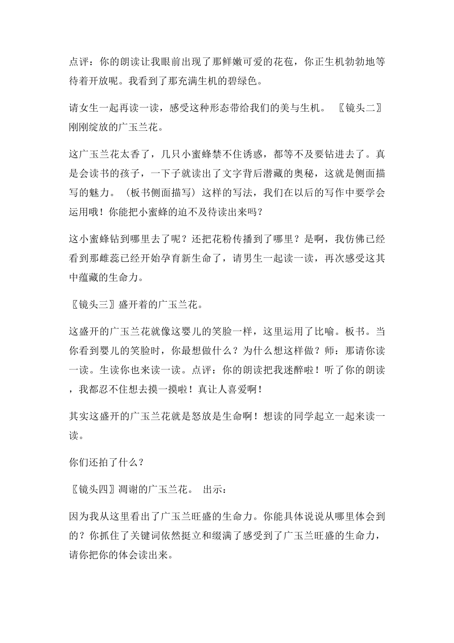 《广玉兰》优质课课堂实录.docx_第3页