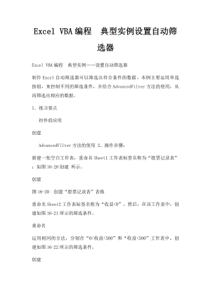 Excel VBA编程典型实例设置自动筛选器.docx