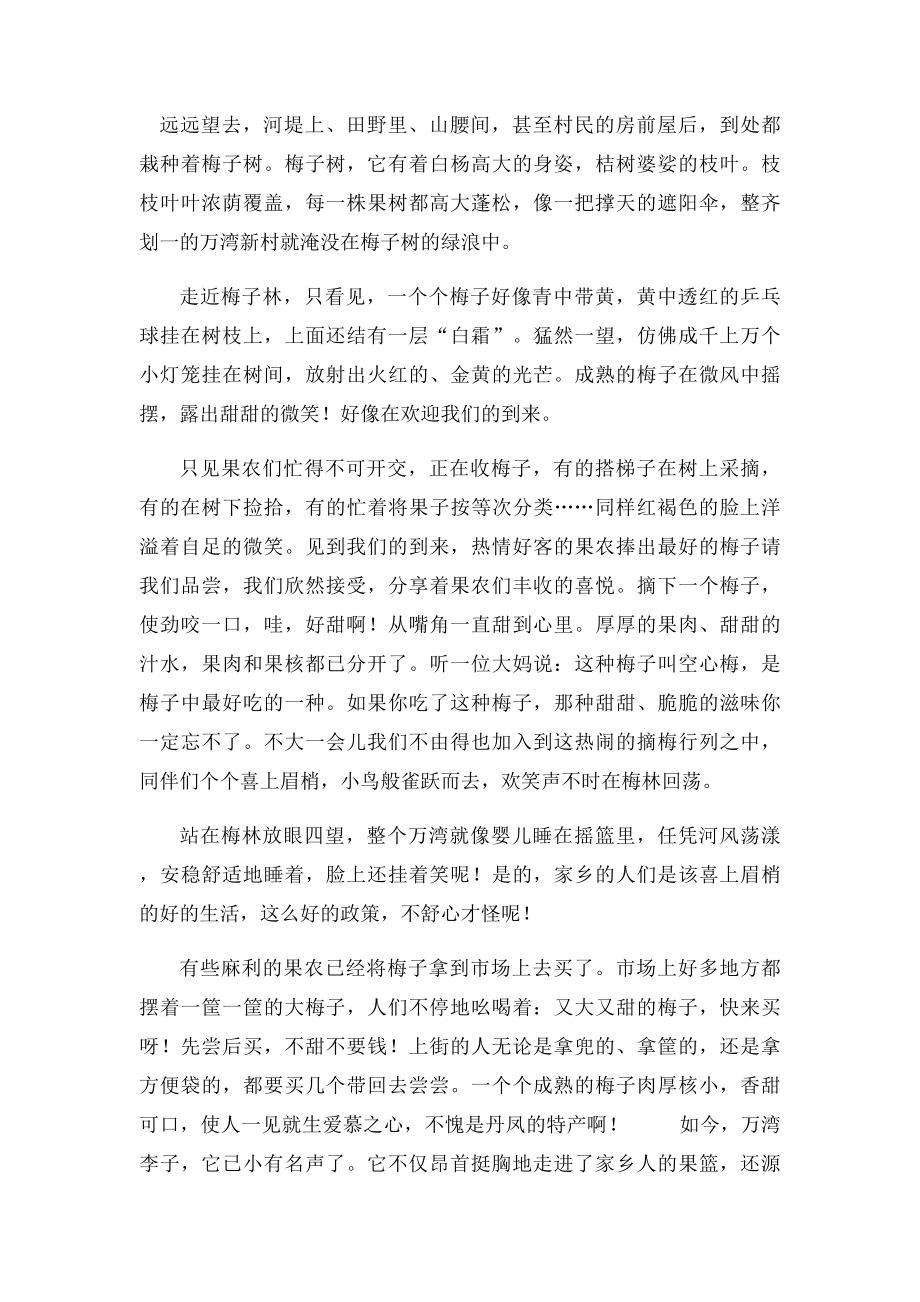 苏教六年级上册家乡特产作文.docx_第2页