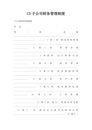 C5子公司财务管理制度.docx