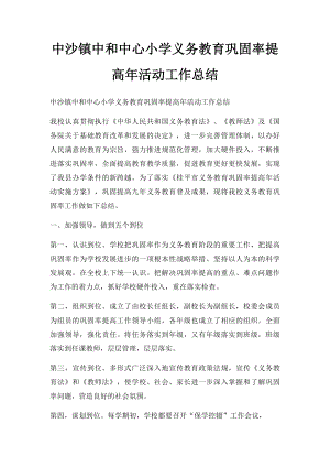 中沙镇中和中心小学义务教育巩固率提高年活动工作总结.docx