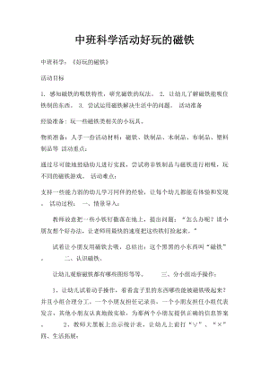 中班科学活动好玩的磁铁.docx